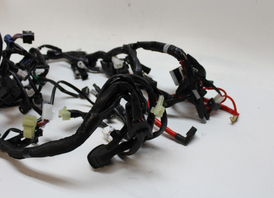 Kabelboom Yamaha XSR 900