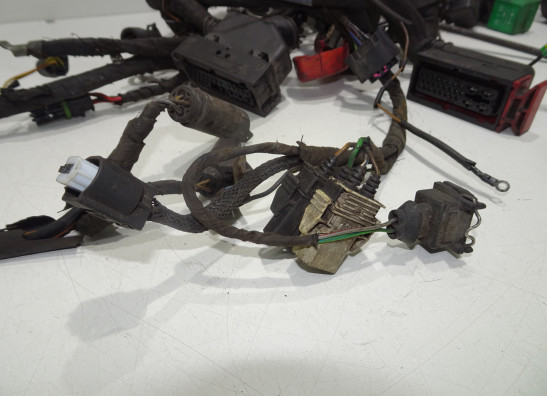 Wire Harness BMW F 650 GS