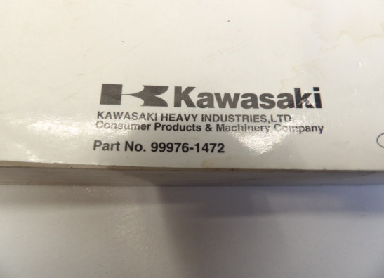 Manuel Kawasaki Z 1000