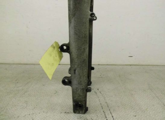 Voorpoten compleet BMW K 1200 RS