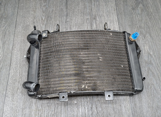Radiateur KTM 690 Duke 4