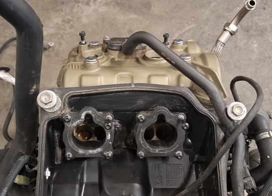 Motorblok Ducati Multistrada V4