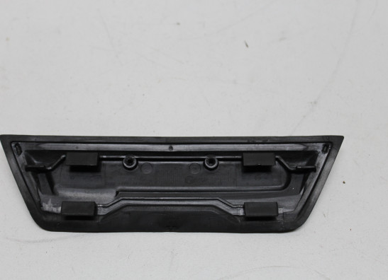 Buddy zadel BMW S 1000 R