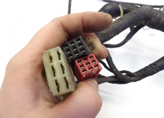 Wire Harness Honda ST 1100 Pan European