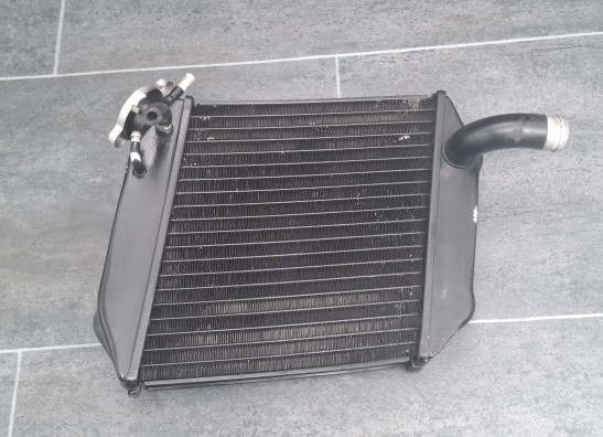 Radiator Buell 1125 R