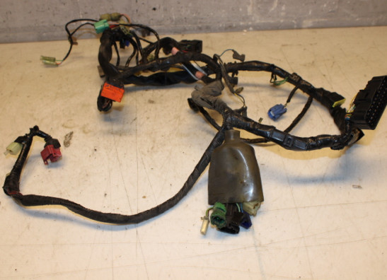 Kabelboom Honda CBF 500