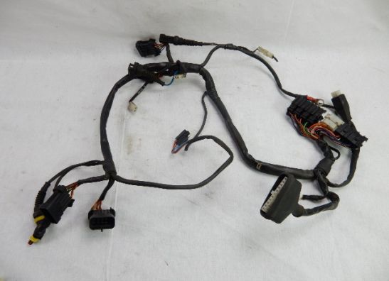 Kabelboom Moto Guzzi Nevada 750