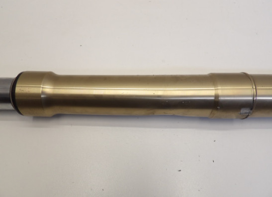 Standrohr Gabelholm links komplett BMW R 1200 GS