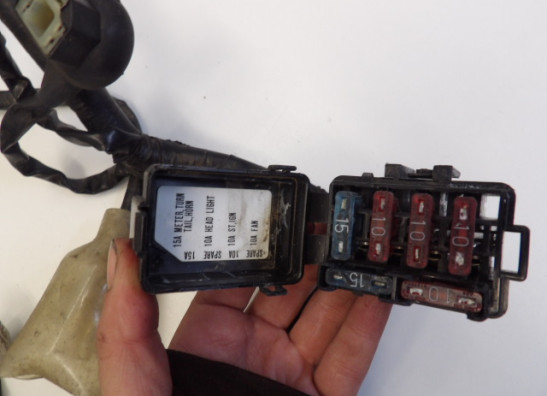 Kabelboom Honda CBR 600 F