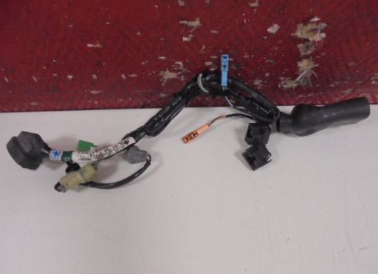 Wire harness front Honda CBR 1100 XX
