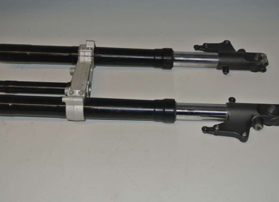Voorpoten compleet Aprilia RSV 1000