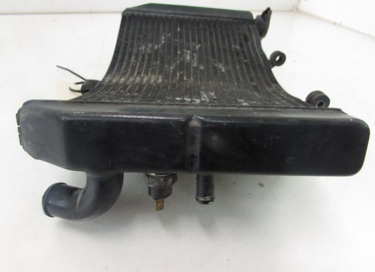 Radiateur Honda CBR 600 F