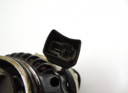 Dynamo Kawasaki ZZR 1100