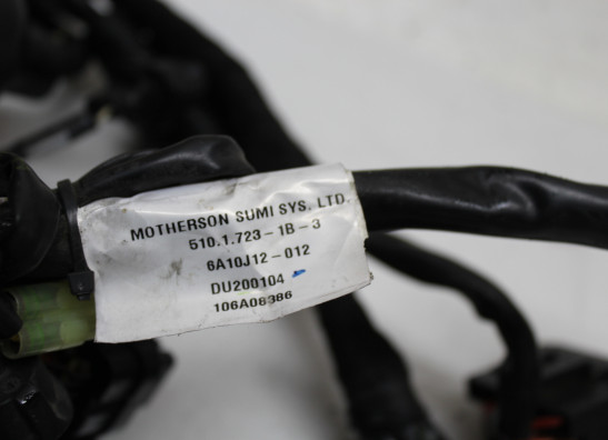 Wire Harness Ducati Multistrada 1200