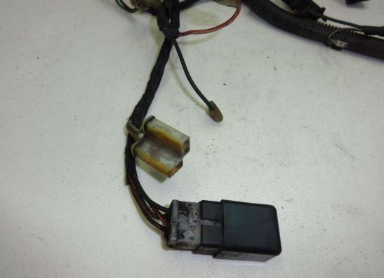 Kabelbaum Suzuki VX 800