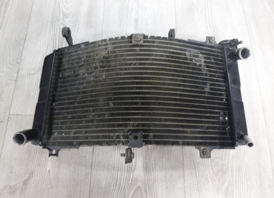 Radiator Suzuki GSX R 750
