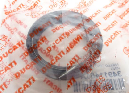 Voorpoot binnen Ducati 848 Streetfighter