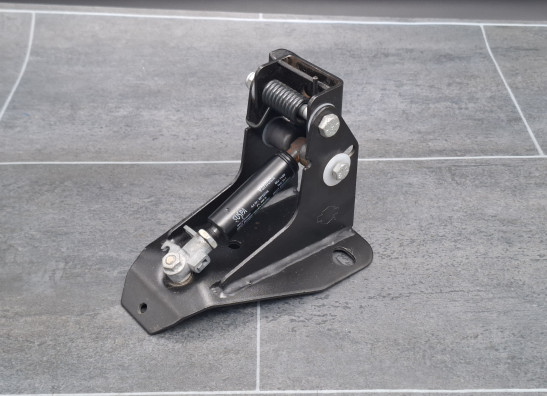 Sissybar seat Harley Davidson FLTR Road Glide