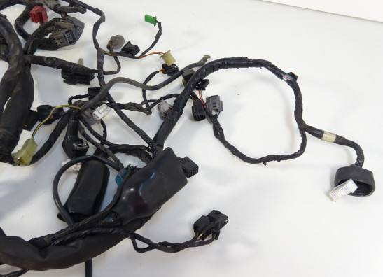 Kabelbaum Kawasaki ER 6