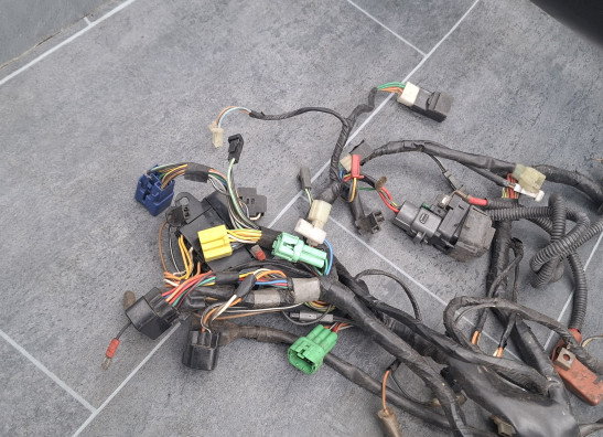 Cableado de motor Suzuki GSF 1200 Bandit