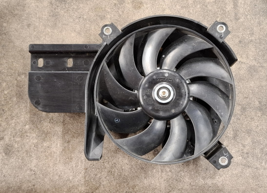Fan Suzuki DL 1050 V Strom XT