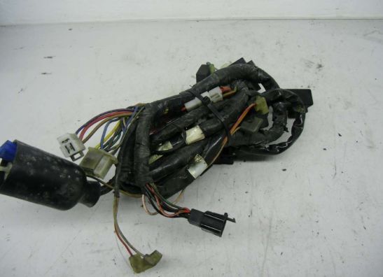 Wire Harness Yamaha XJ 600 Diversion