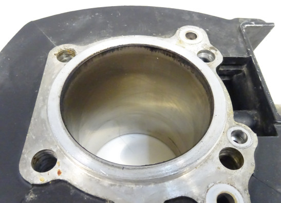 Zylinder Ducati monster 600