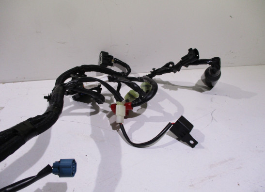 Kabelboom Kawasaki Z 900