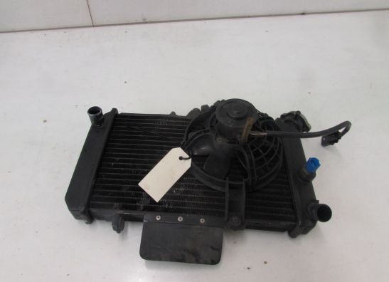 Radiateur Hyosung Comet 650