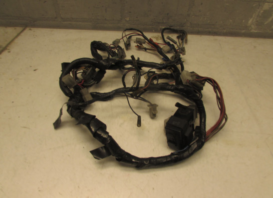 Wire Harness Yamaha V max