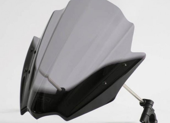 Windschild BMW R 1150 R