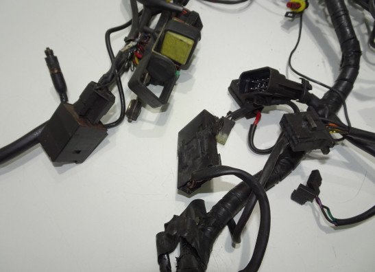 Kabelboom Ducati monster 600