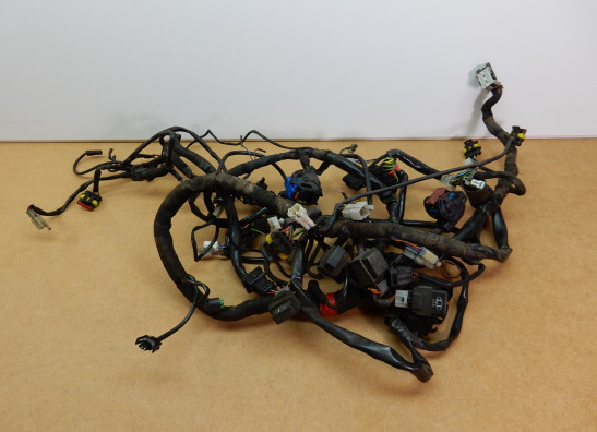 Wire Harness Moto Guzzi Norge