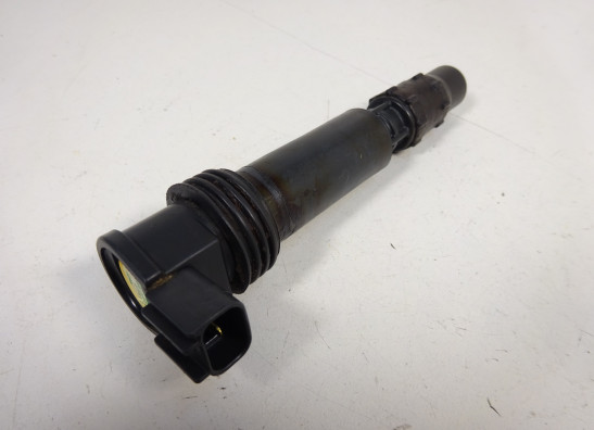 Bobine Triumph Tiger 800 2010-2014