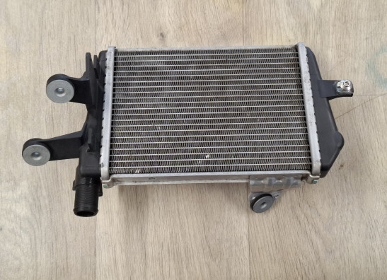 Radiateur BMW R 1200 GS LC