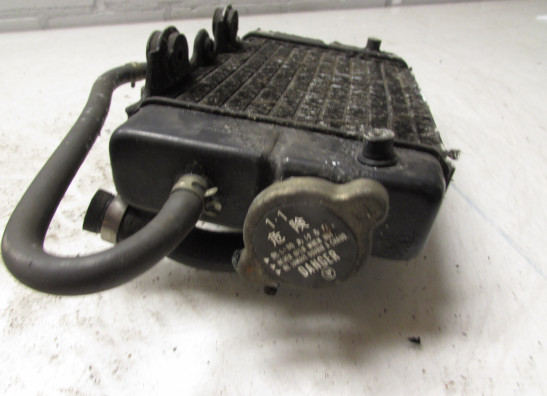 Kuhler Honda TRANSALP