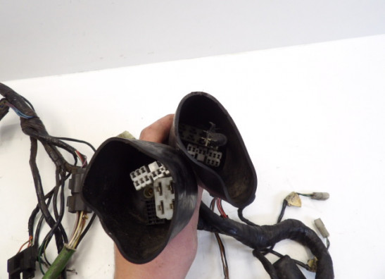 Wire Harness Triumph 1200 Daytona