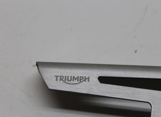 Chaincase Triumph Speed Twin 1200