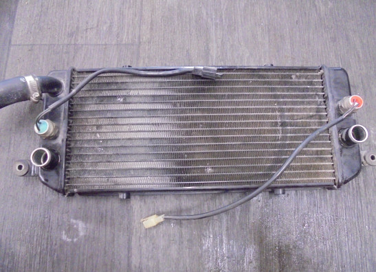 Radiator Suzuki VZ 800 marauder