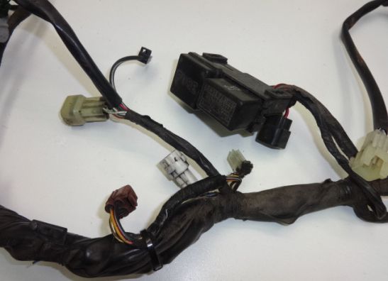 Wire Harness Suzuki DL 1000 V STROM
