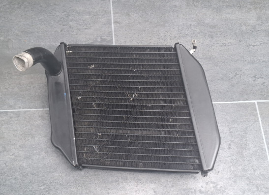Radiateur Buell 1125 R