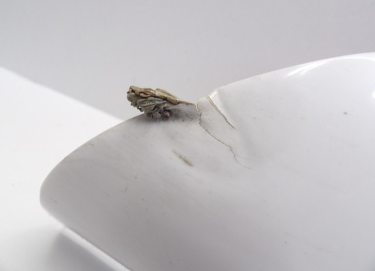 Rechter onderkuip Yamaha YZF R1