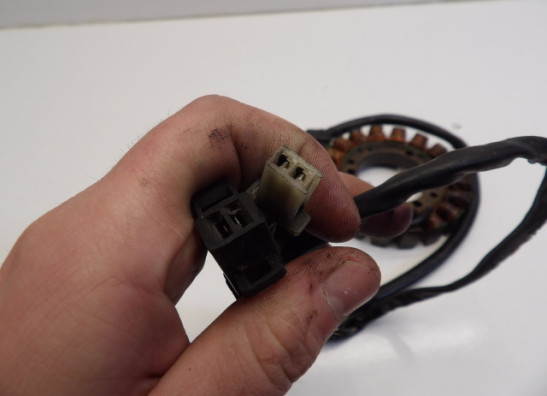 Dynamo Suzuki LS 650