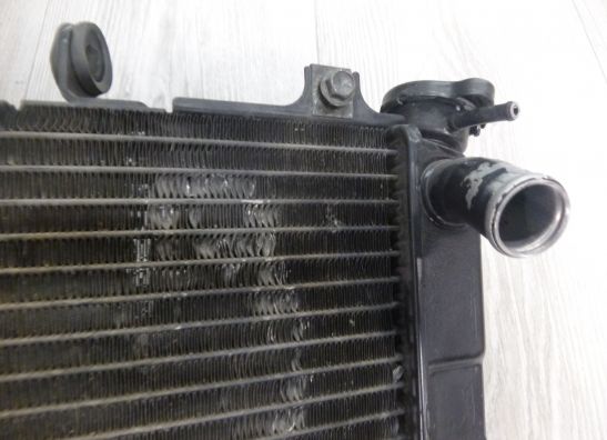 Radiator Suzuki GSX R 750