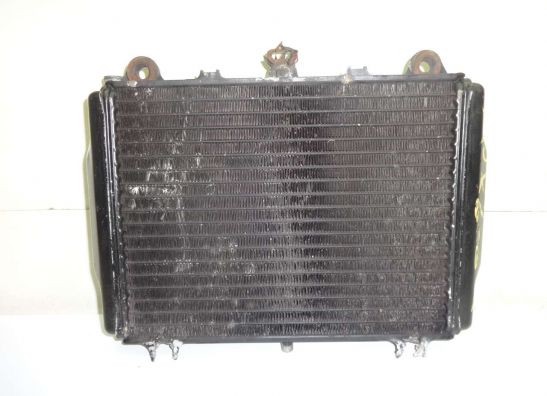 Radiator Kawasaki GPZ 600