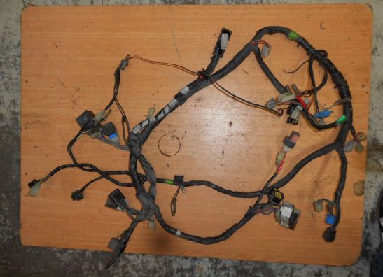 Kabelboom Yamaha XJ 900 S Diversion