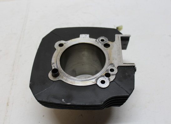 Cilinderblok Ducati monster 696