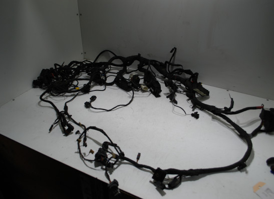 Kabelbaum BMW R 1200 RT