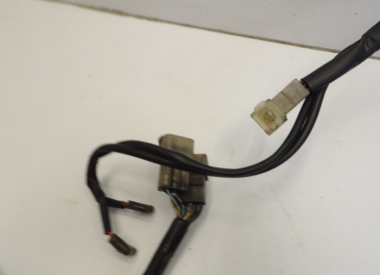 Kabelboom Yamaha FZ6