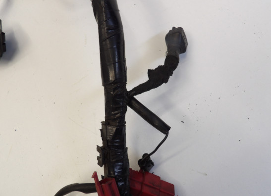 Kabelboom Honda ST 1100 Pan European